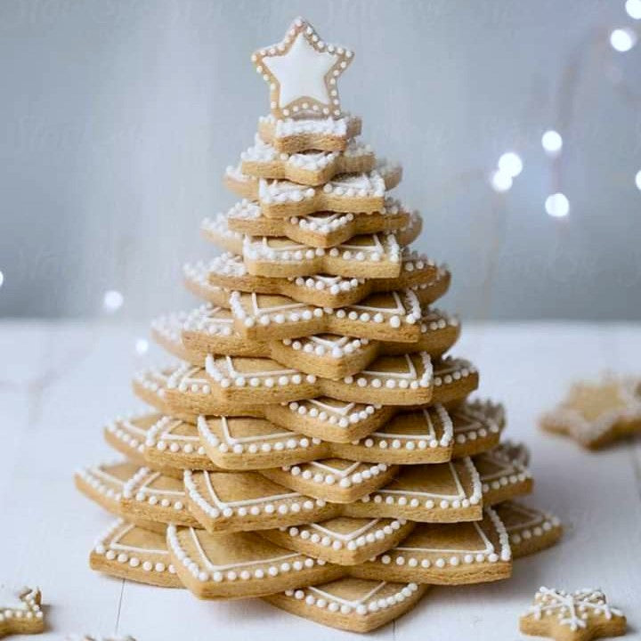 ESTRELLA NAVIDEÑA 6 PCS